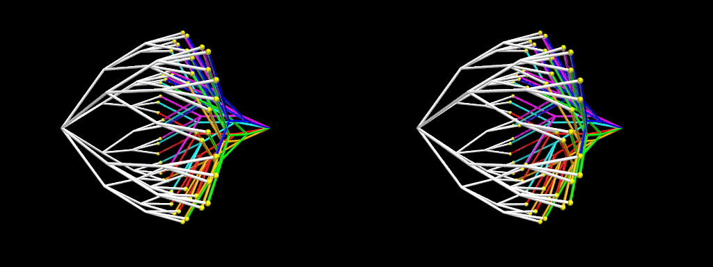 Arbre et arbre inverse
